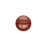 Ball Wilson NBA Fam